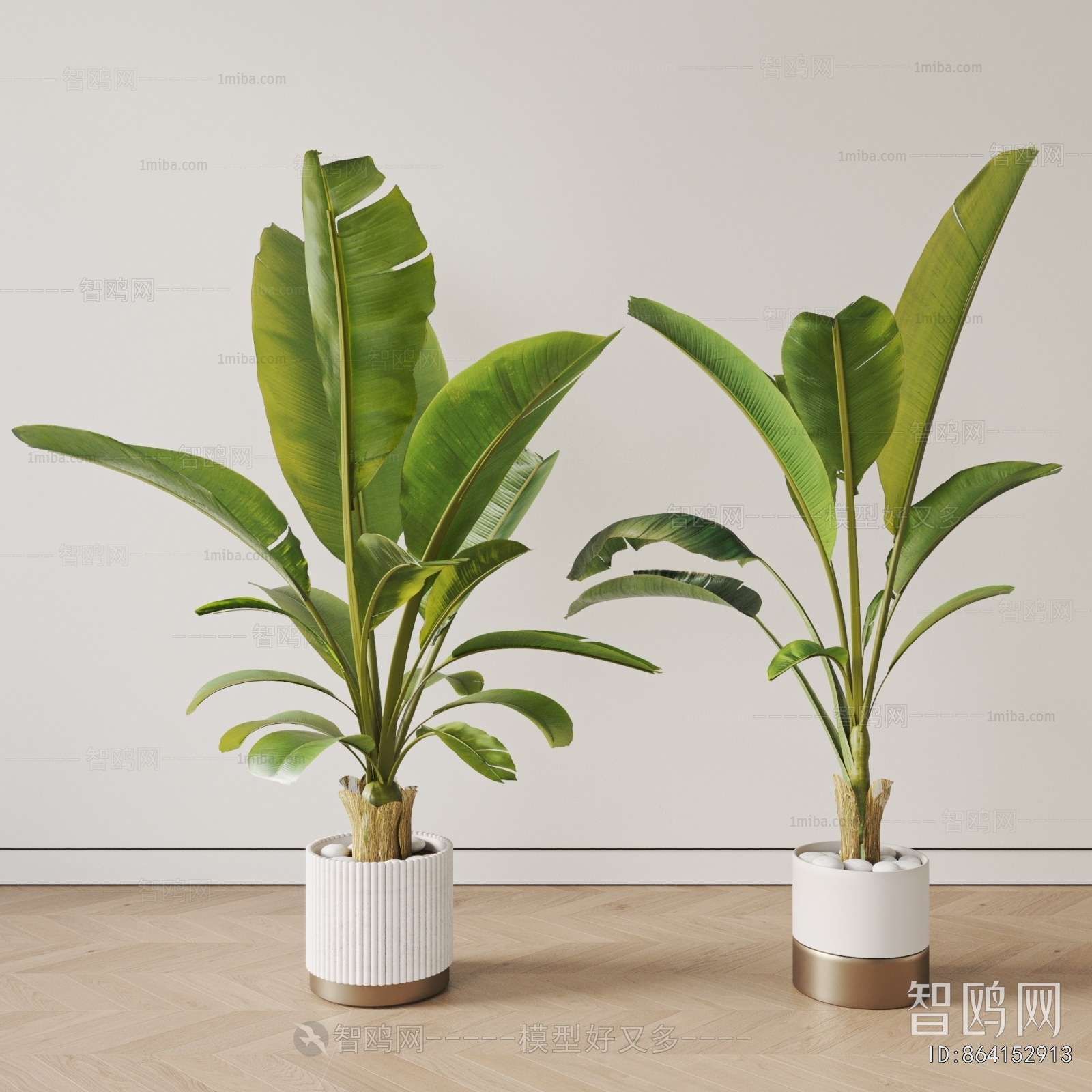 Modern Ground Green Plant Potted Plants