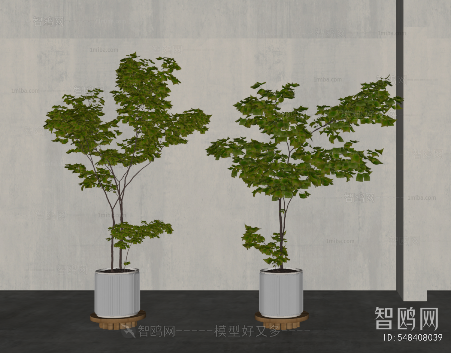 Modern Ground Green Plant Potted Plants