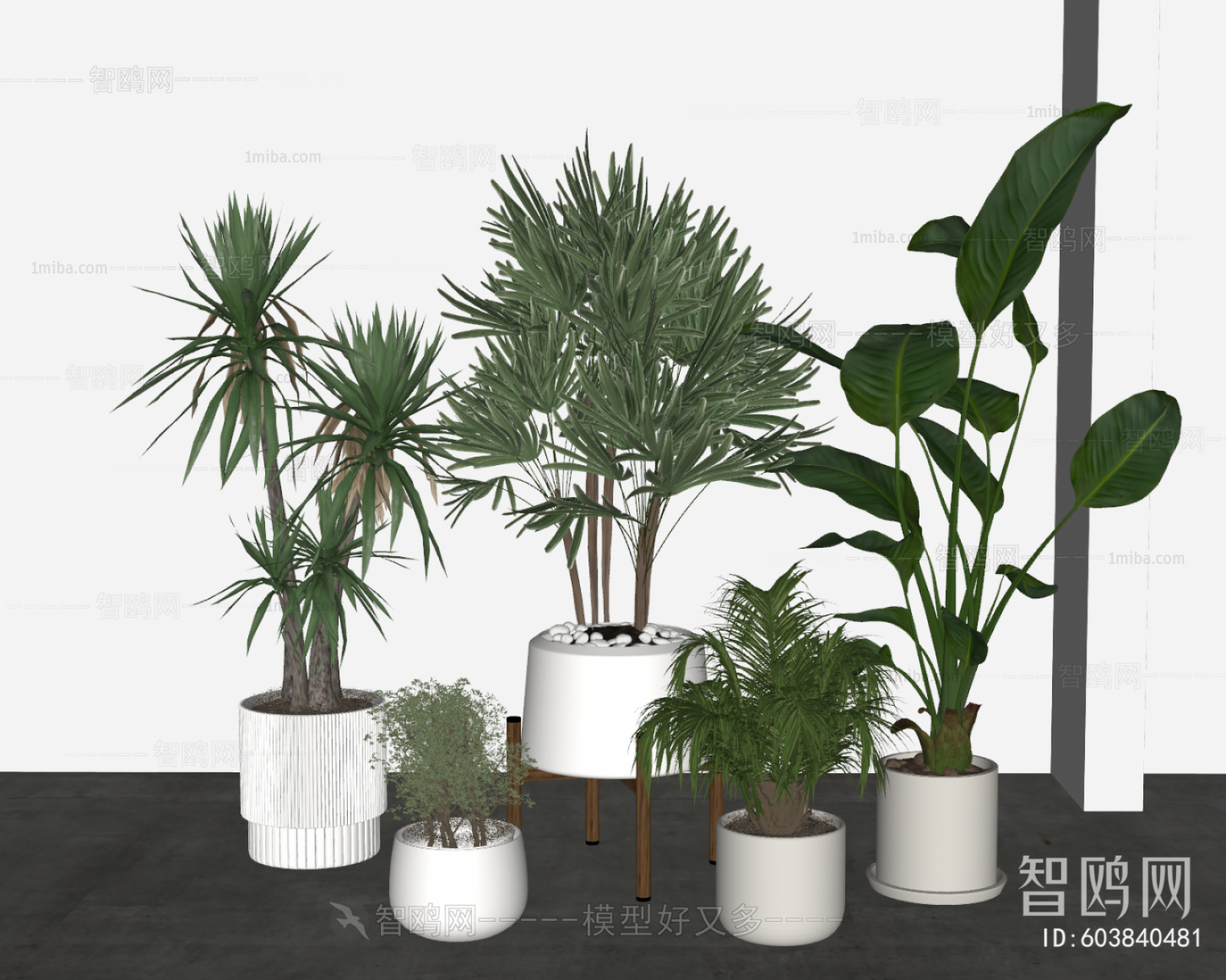 Modern Ground Green Plant Potted Plants