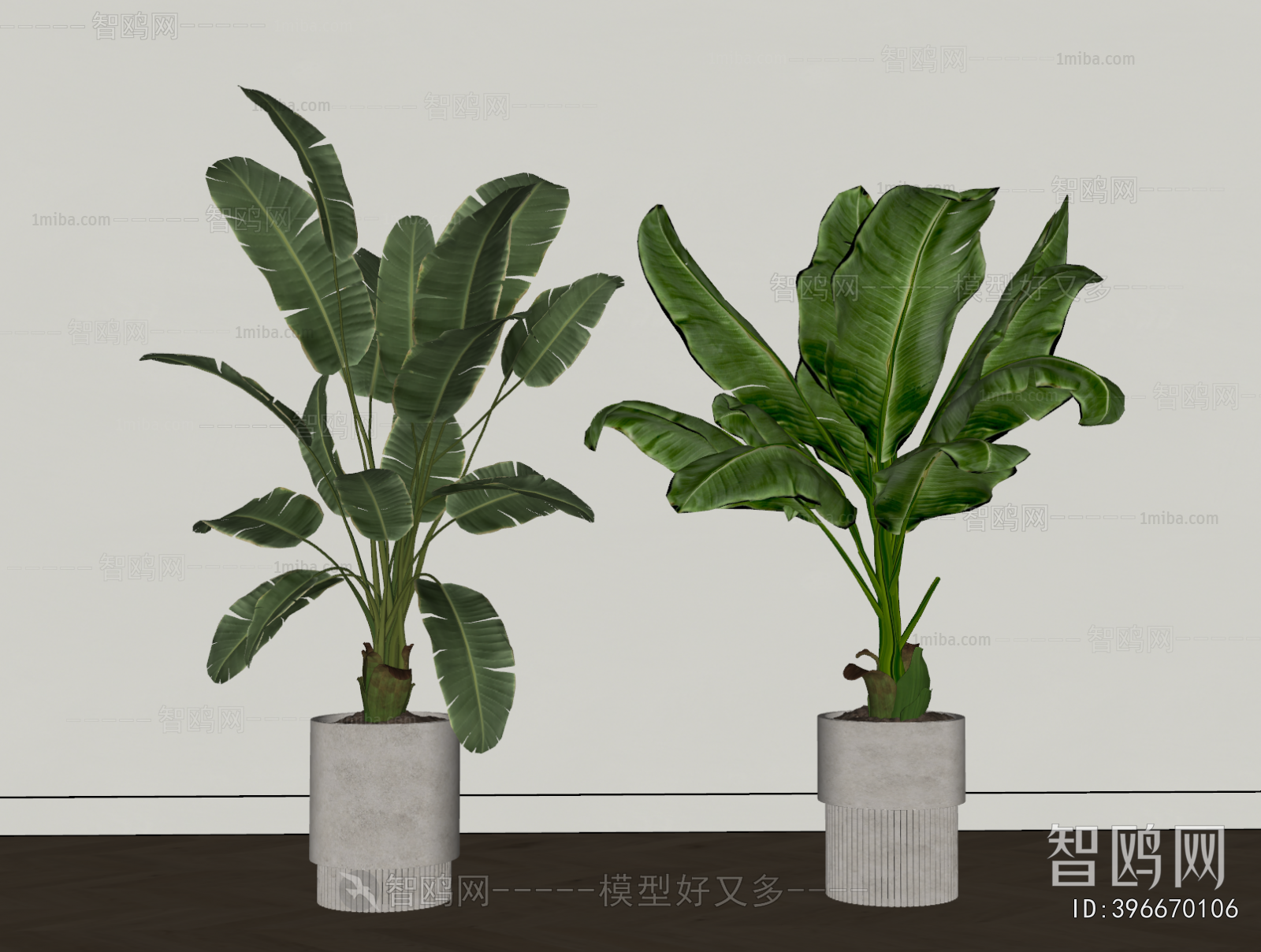 Modern Ground Green Plant Potted Plants