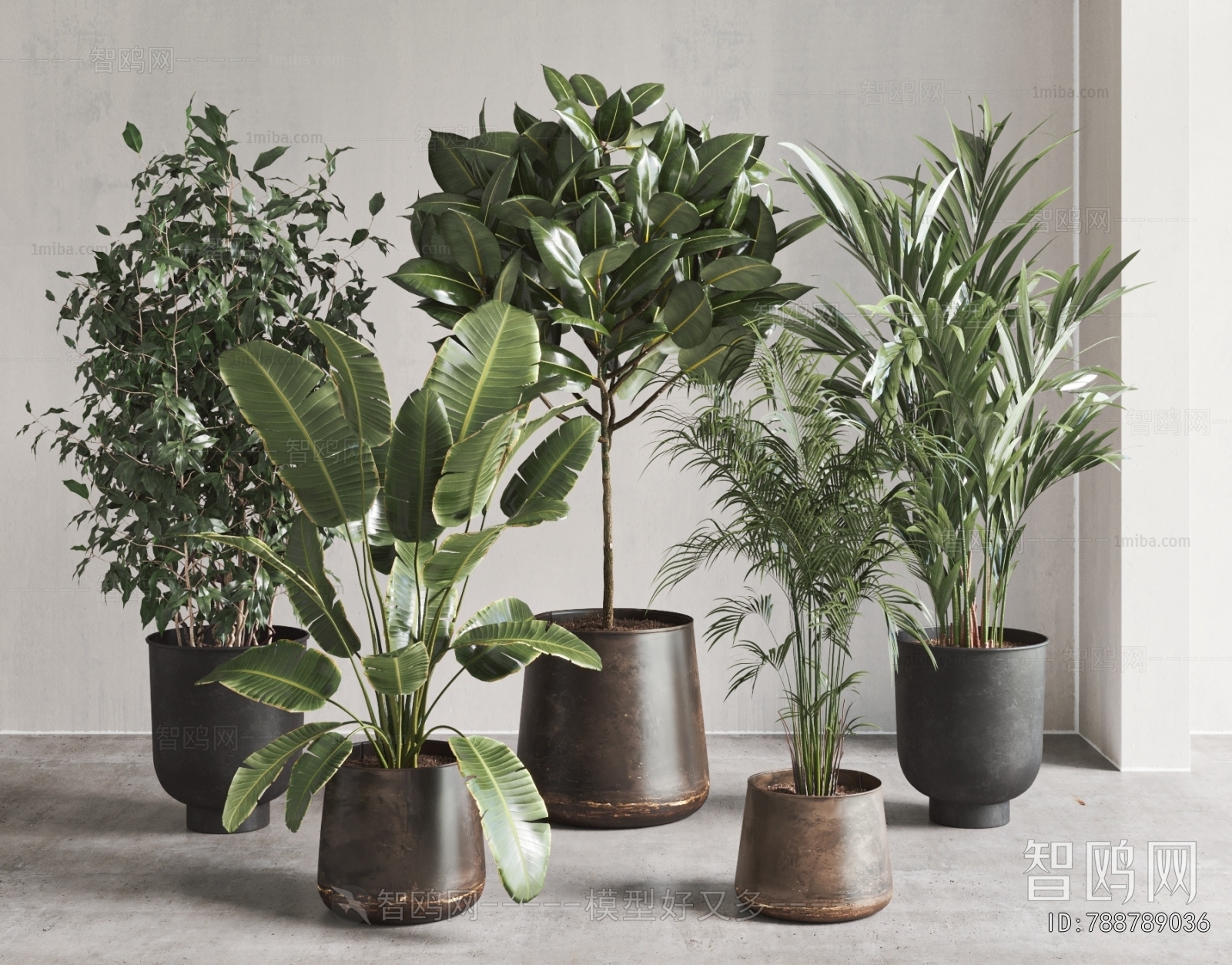 Modern Ground Green Plant Potted Plants