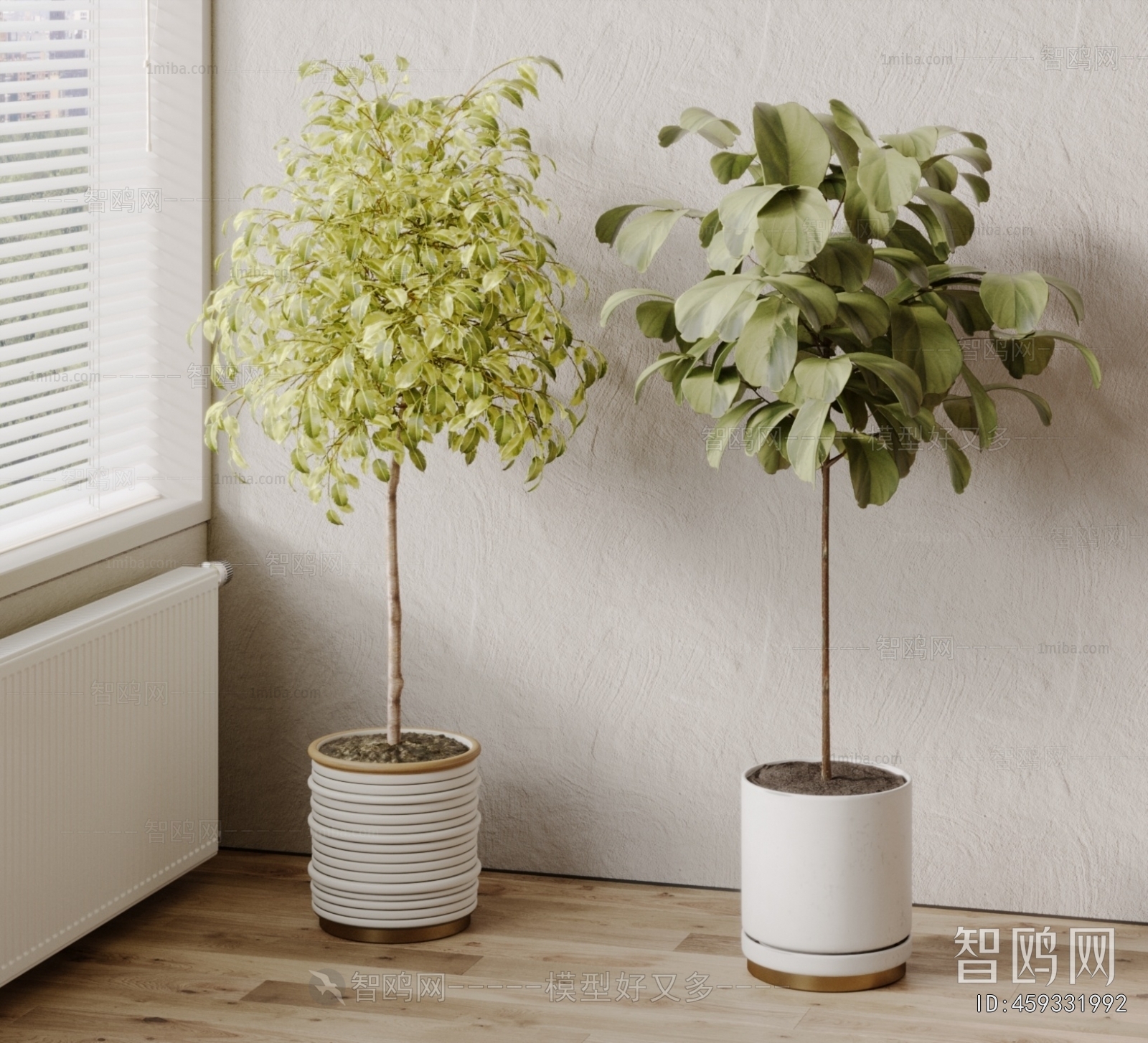 Modern Ground Green Plant Potted Plants