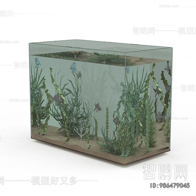 Modern Fish Tank