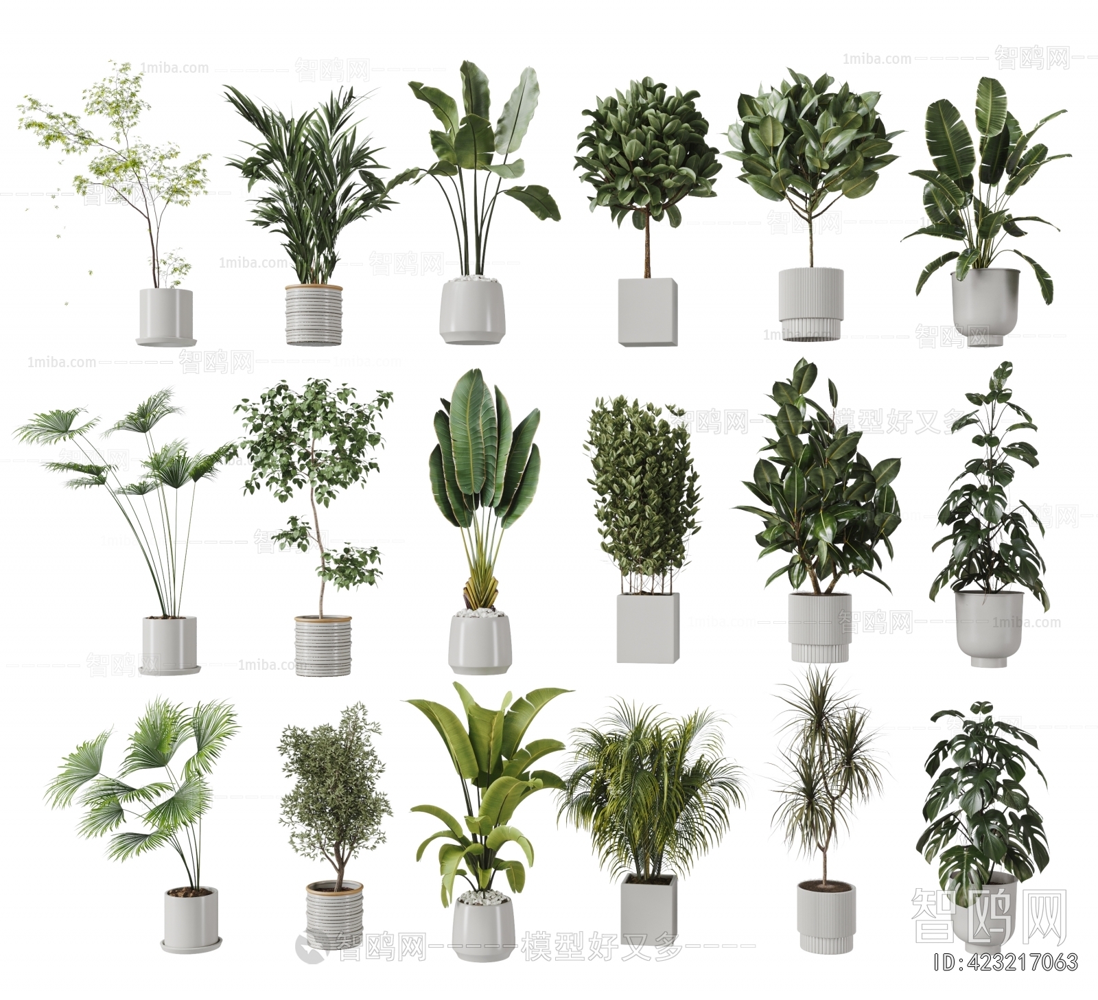 Modern Ground Green Plant Potted Plants