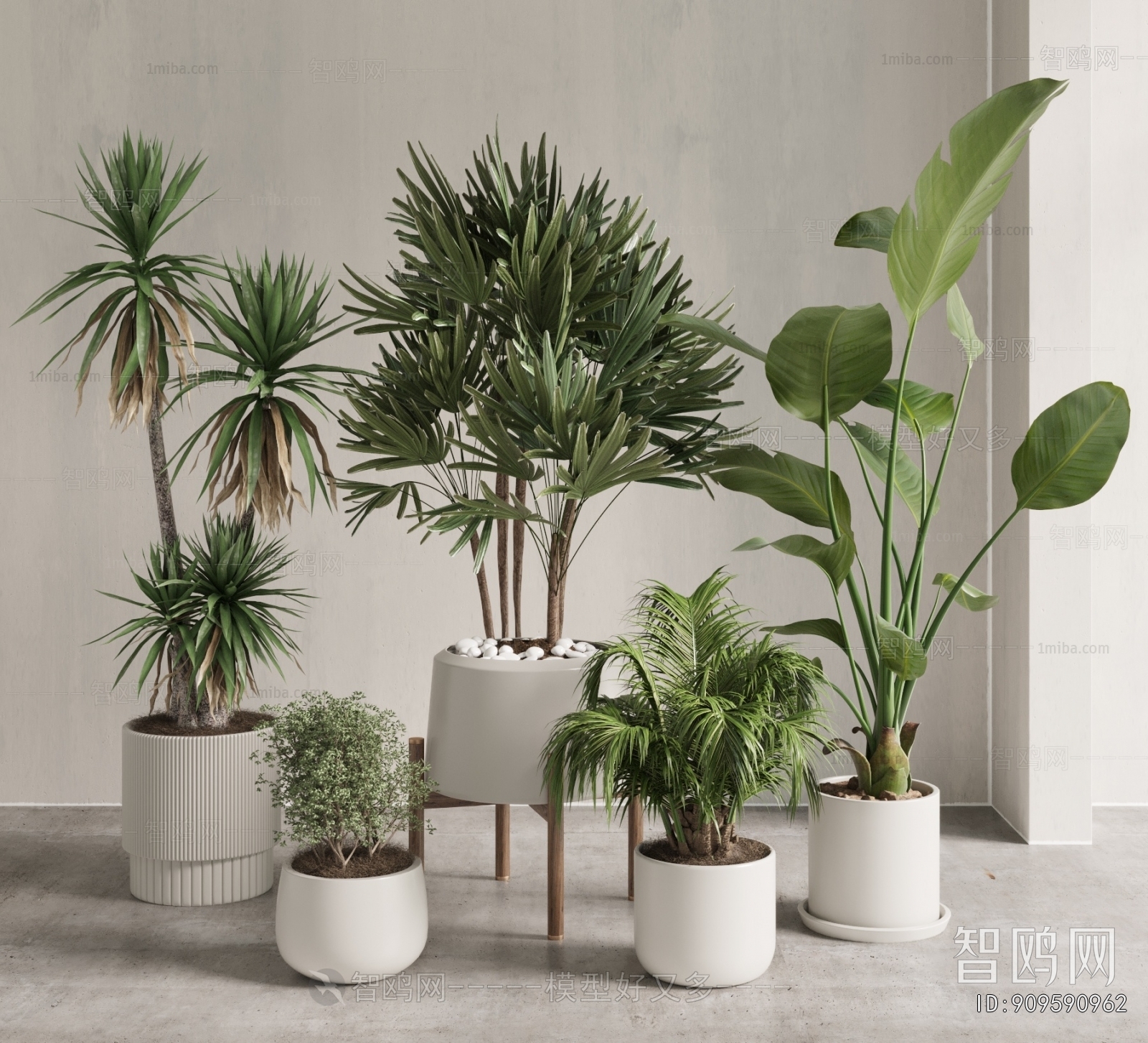 Modern Ground Green Plant Potted Plants