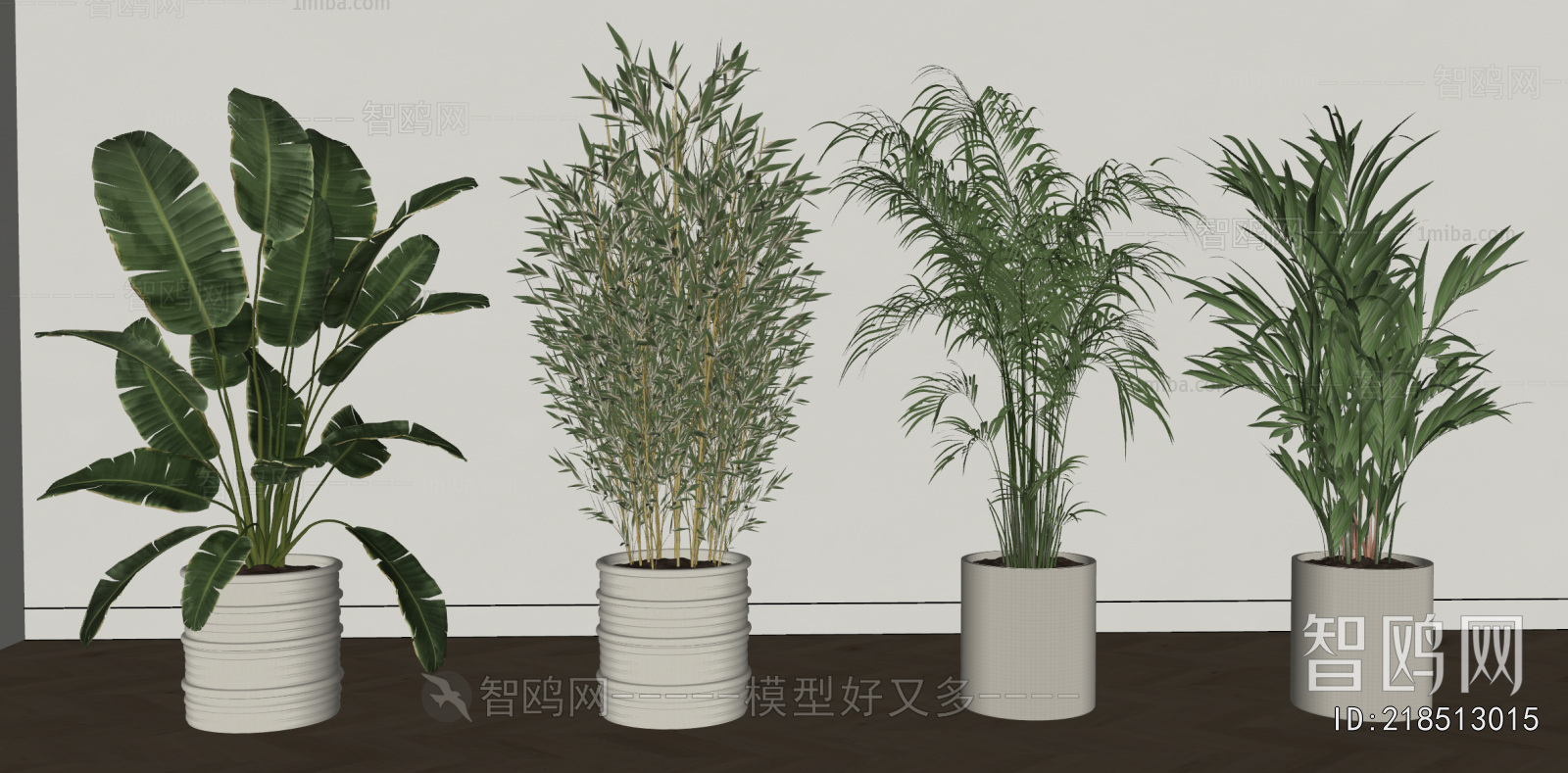 Modern Ground Green Plant Potted Plants