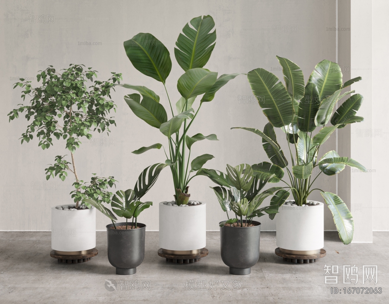 Modern Ground Green Plant Potted Plants