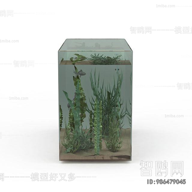 Modern Fish Tank