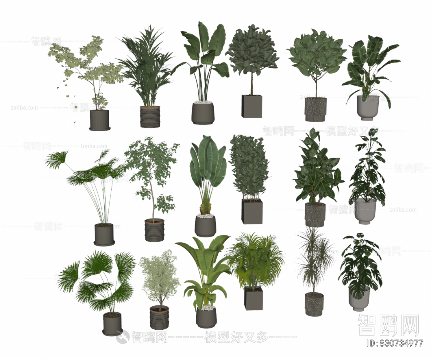 Modern Ground Green Plant Potted Plants