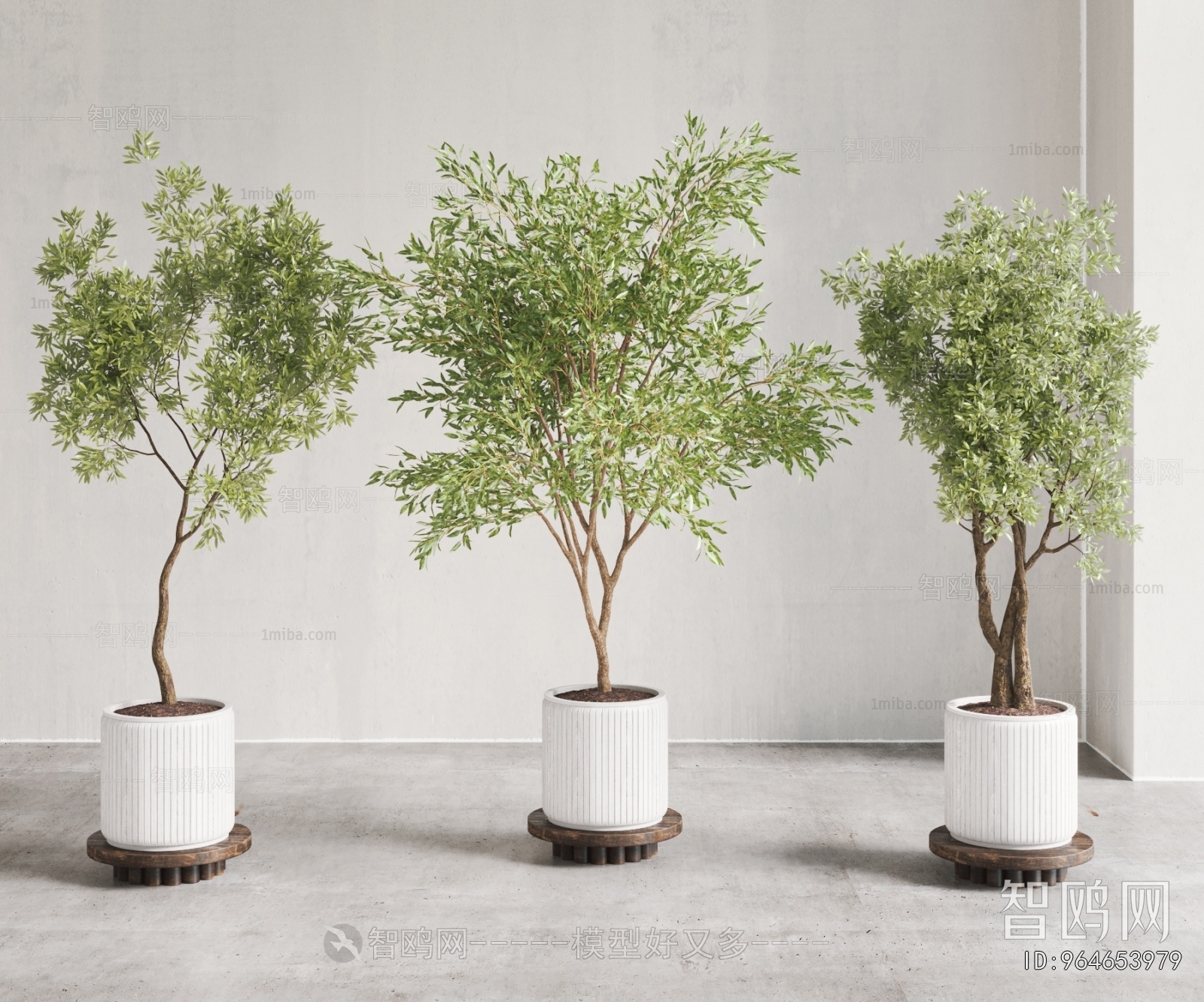 Modern Ground Green Plant Potted Plants