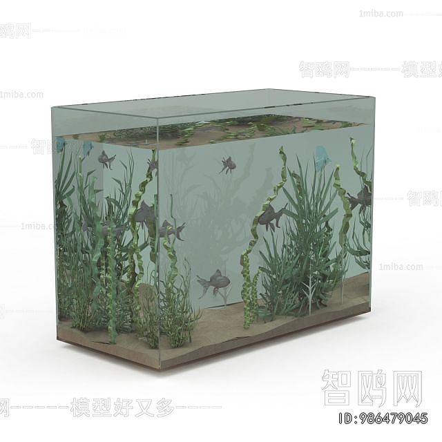 Modern Fish Tank