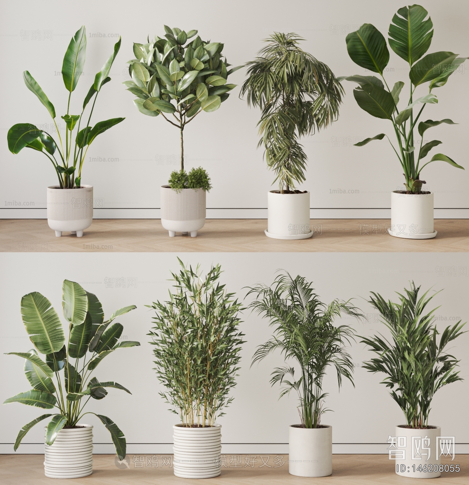 Modern Ground Green Plant Potted Plants