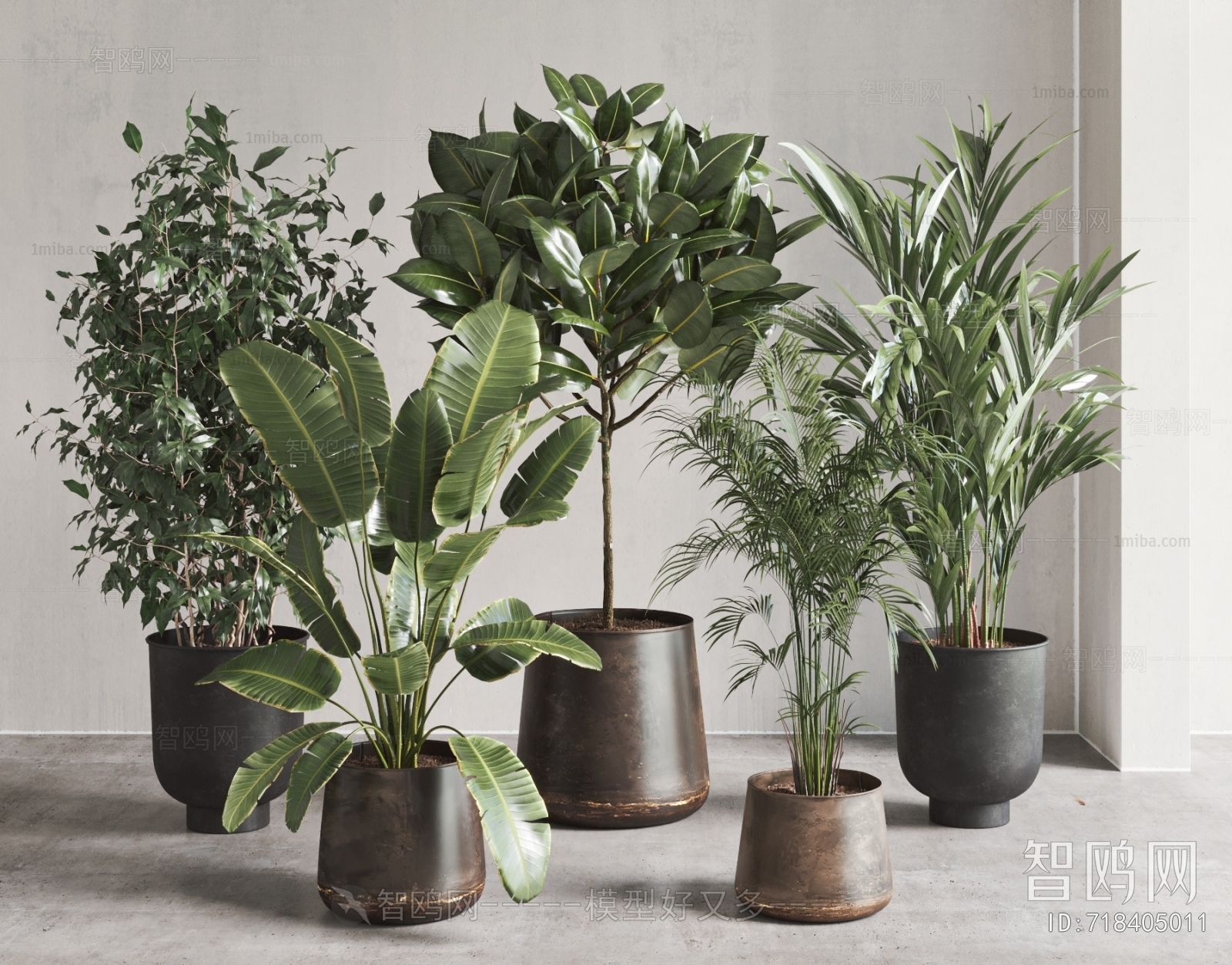 Modern Ground Green Plant Potted Plants