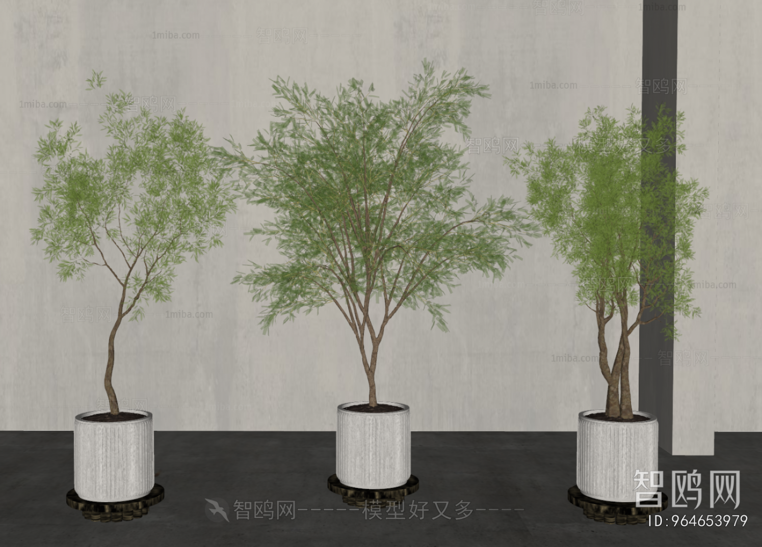Modern Ground Green Plant Potted Plants