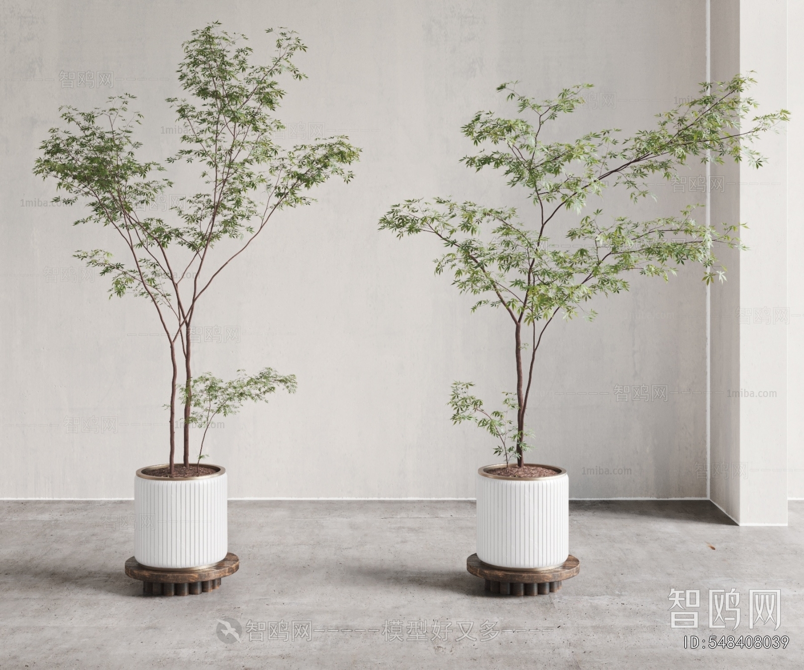 Modern Ground Green Plant Potted Plants