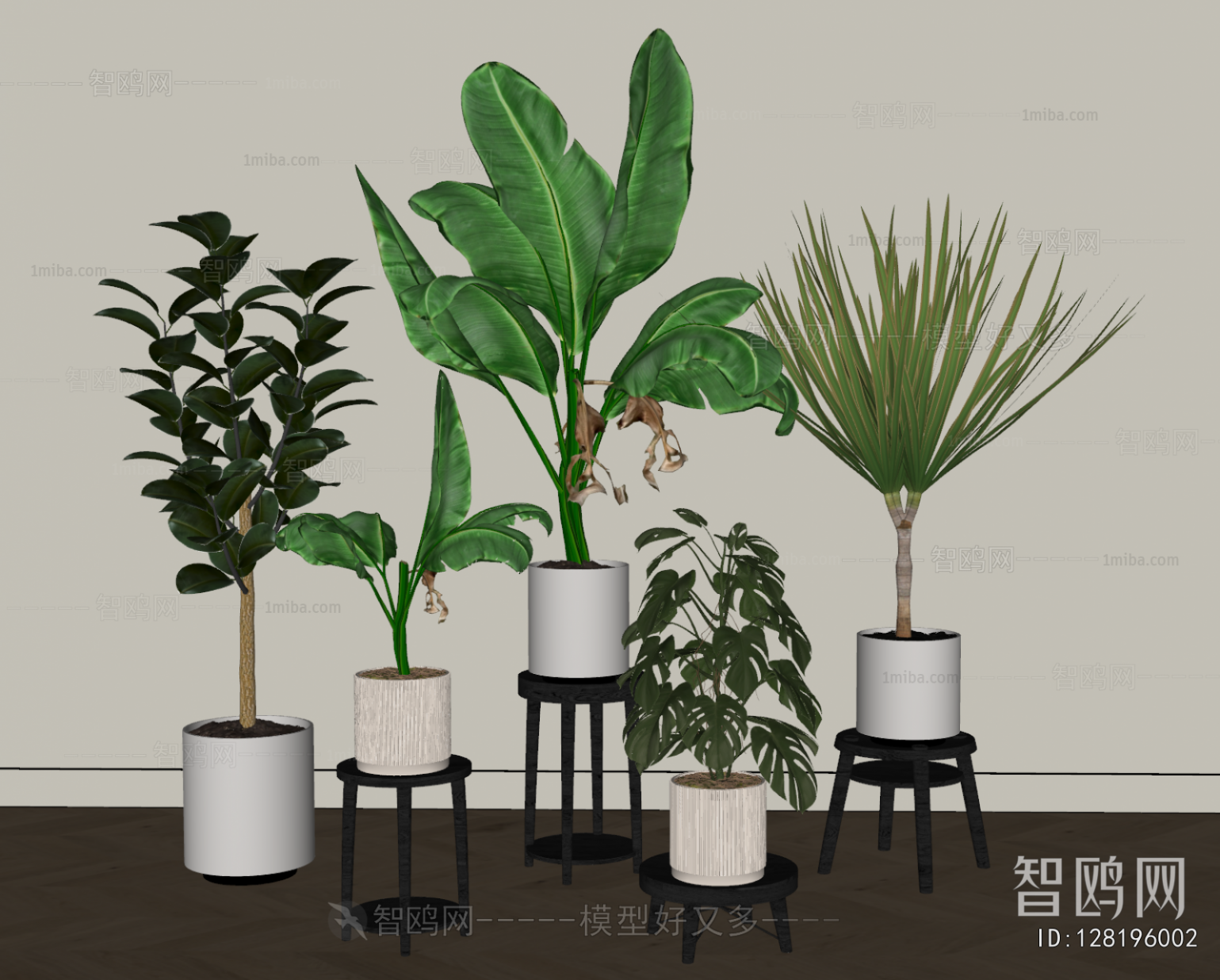 Modern Ground Green Plant Potted Plants