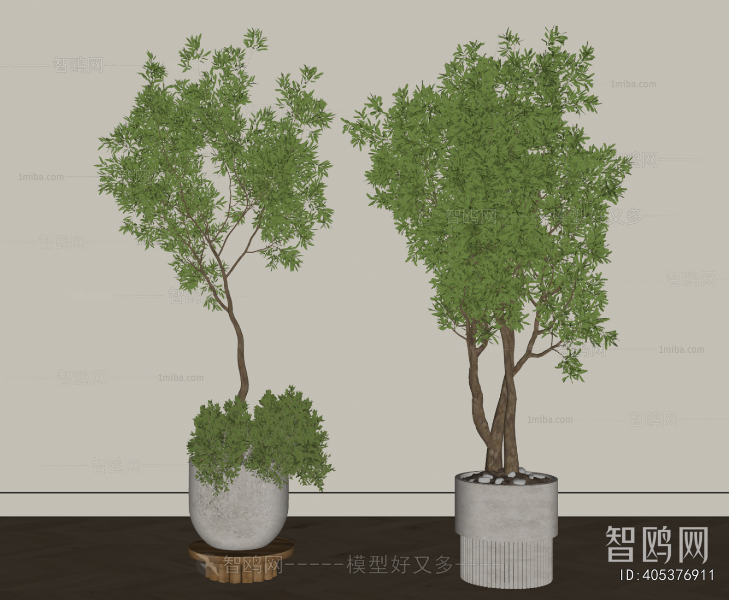 Modern Ground Green Plant Potted Plants