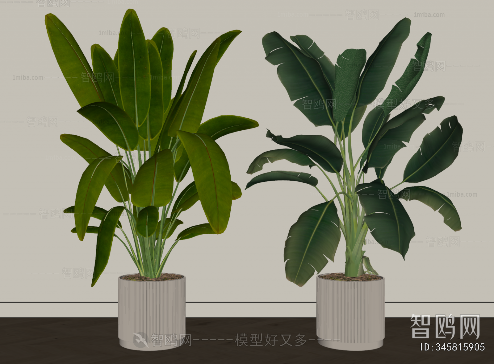 Modern Ground Green Plant Potted Plants