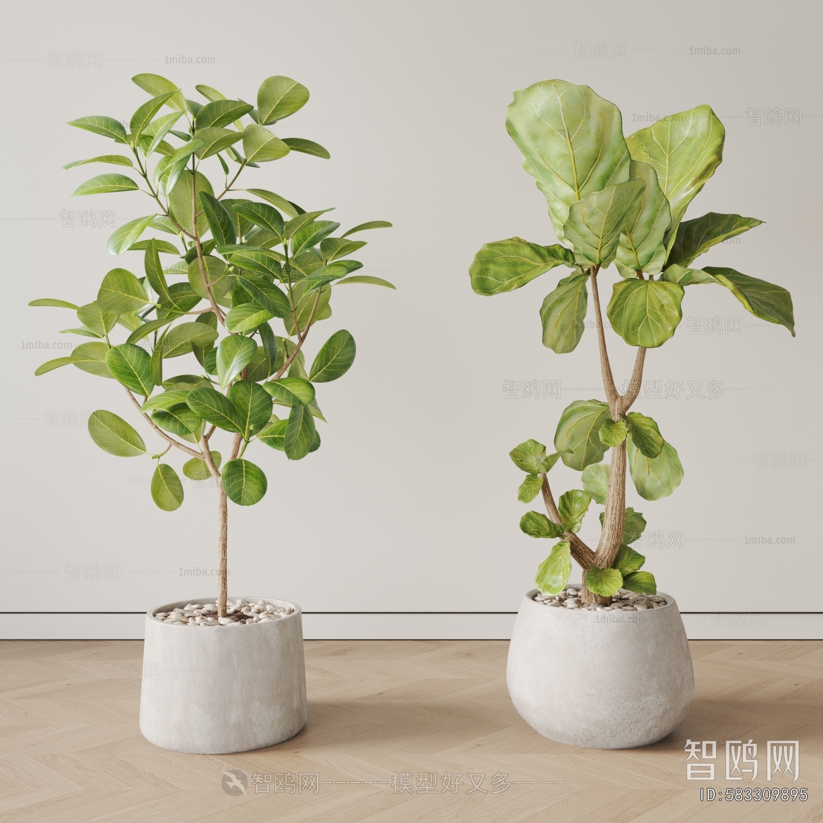 Modern Ground Green Plant Potted Plants