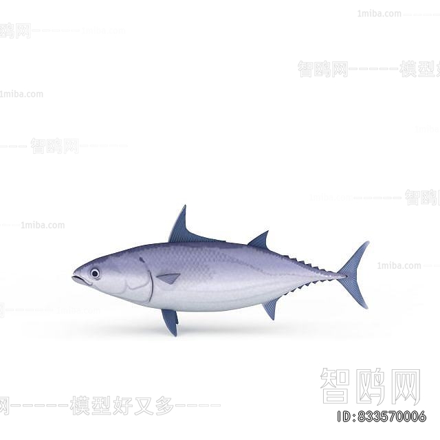 Modern Aquatic Animals