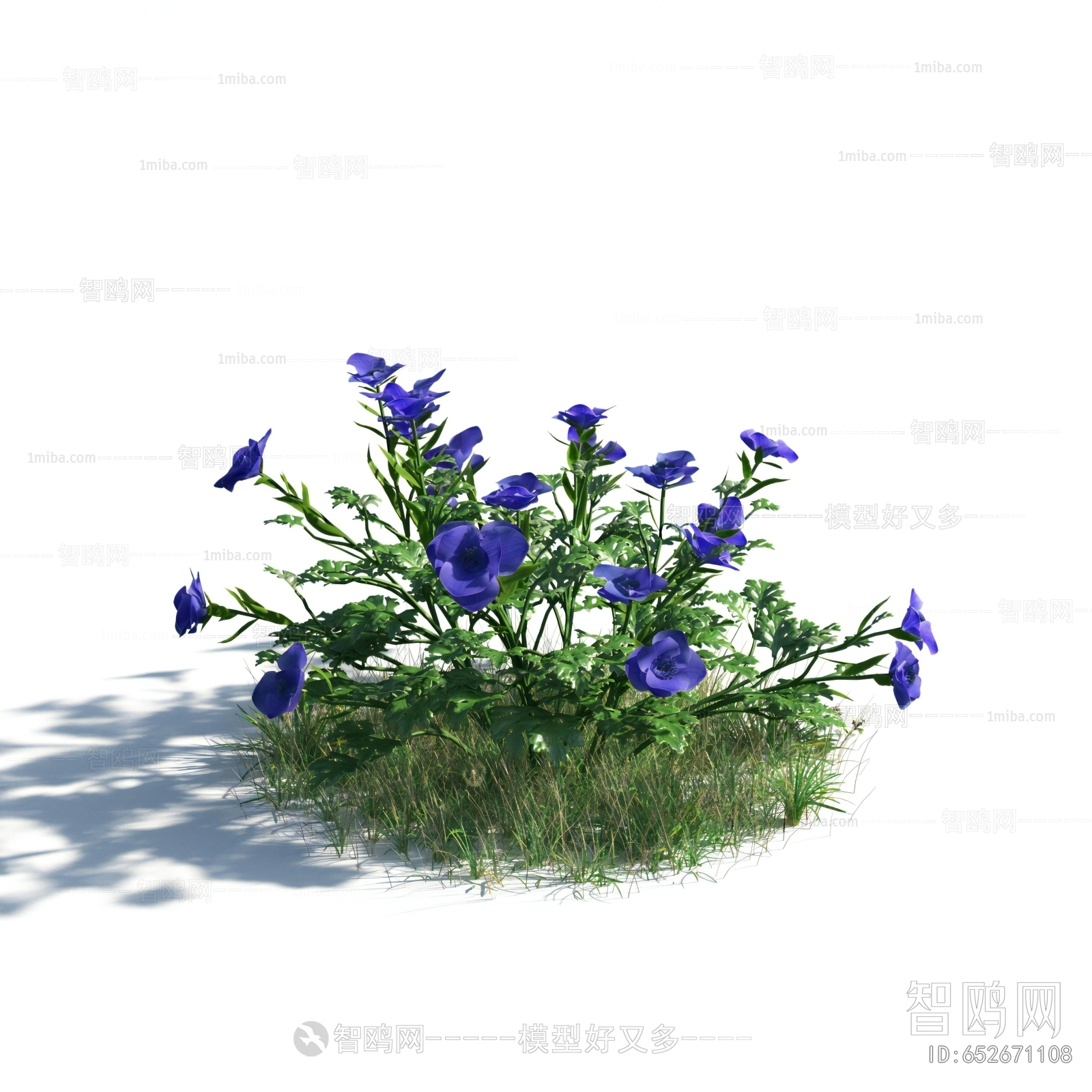 Modern Flowers And Grass