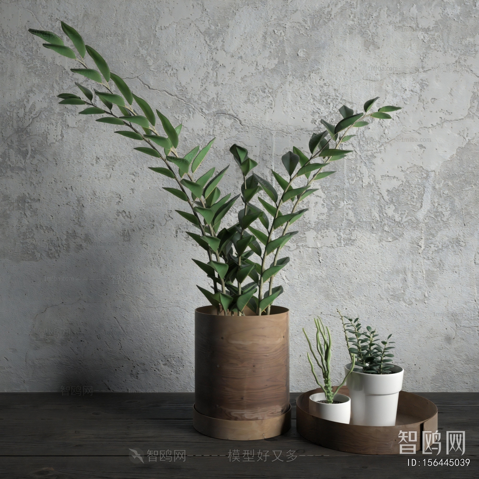 Modern Potted Green Plant