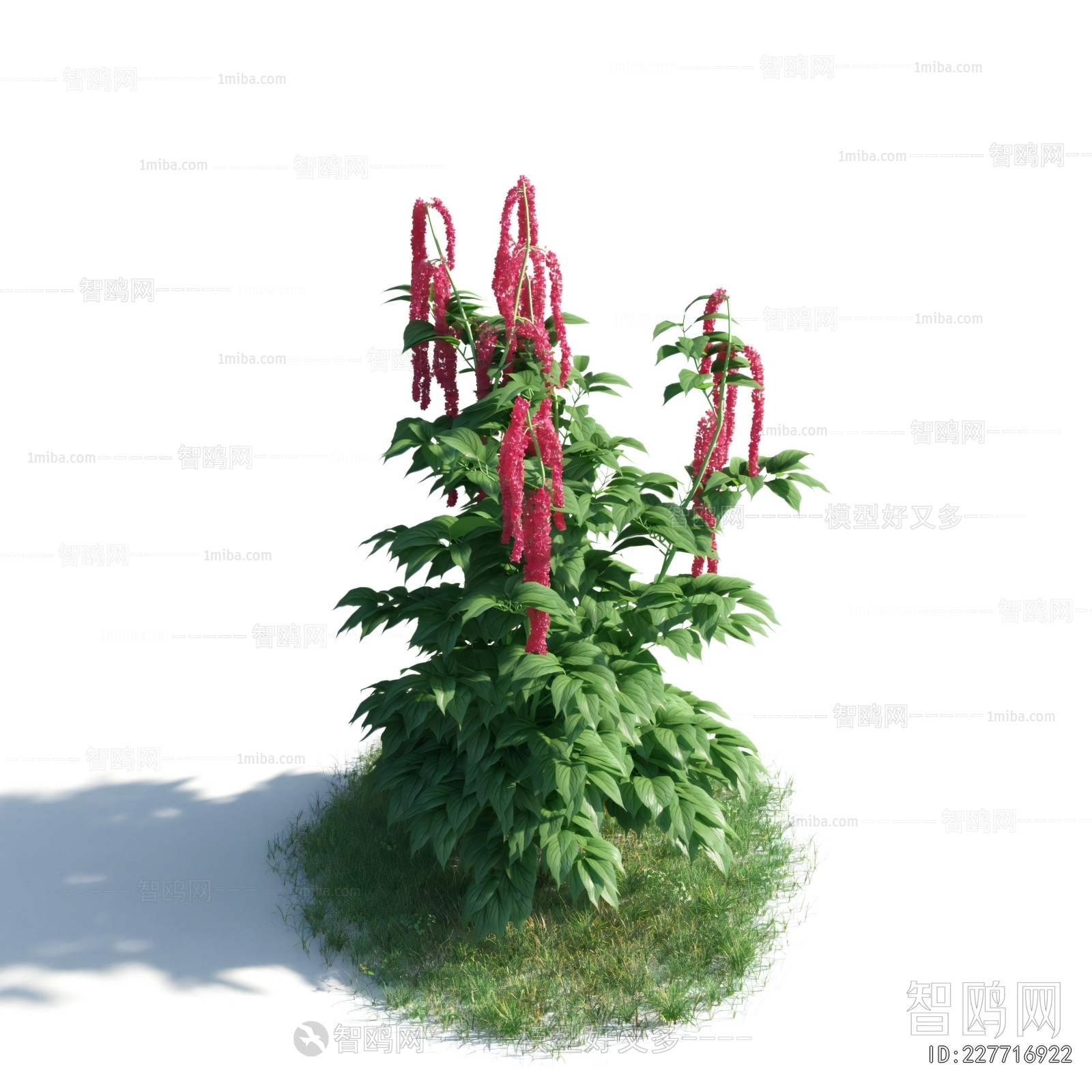 Modern Flowers And Grass