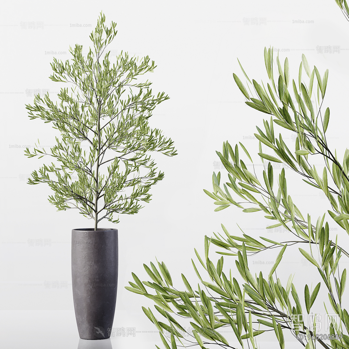 Modern Ground Green Plant Potted Plants