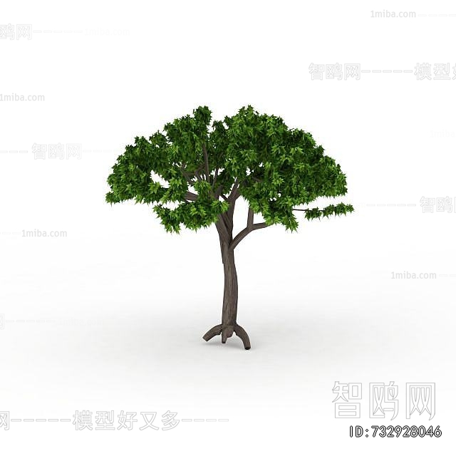 Modern Tree