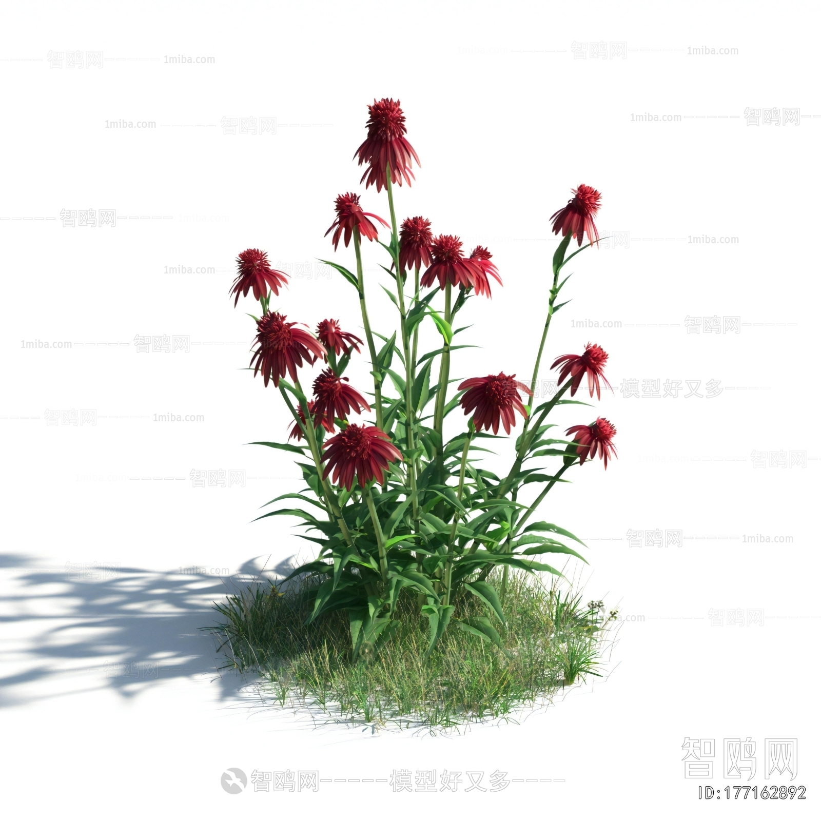 Modern Flowers And Grass