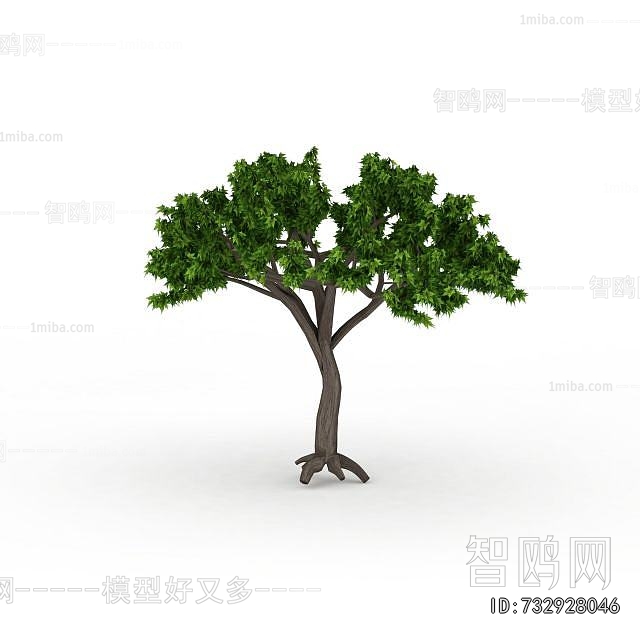 Modern Tree