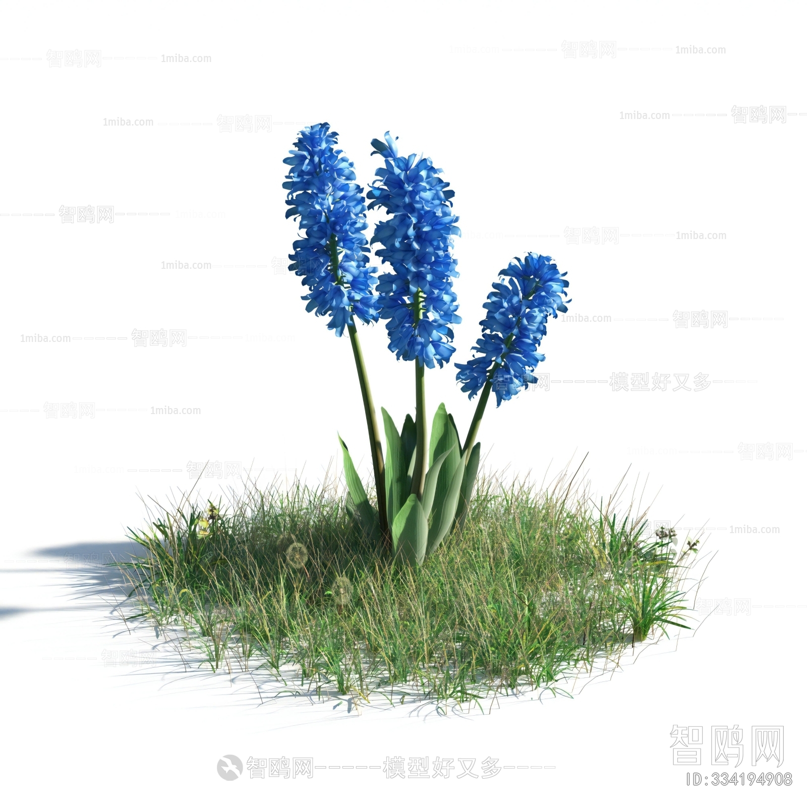 Modern Flowers And Grass