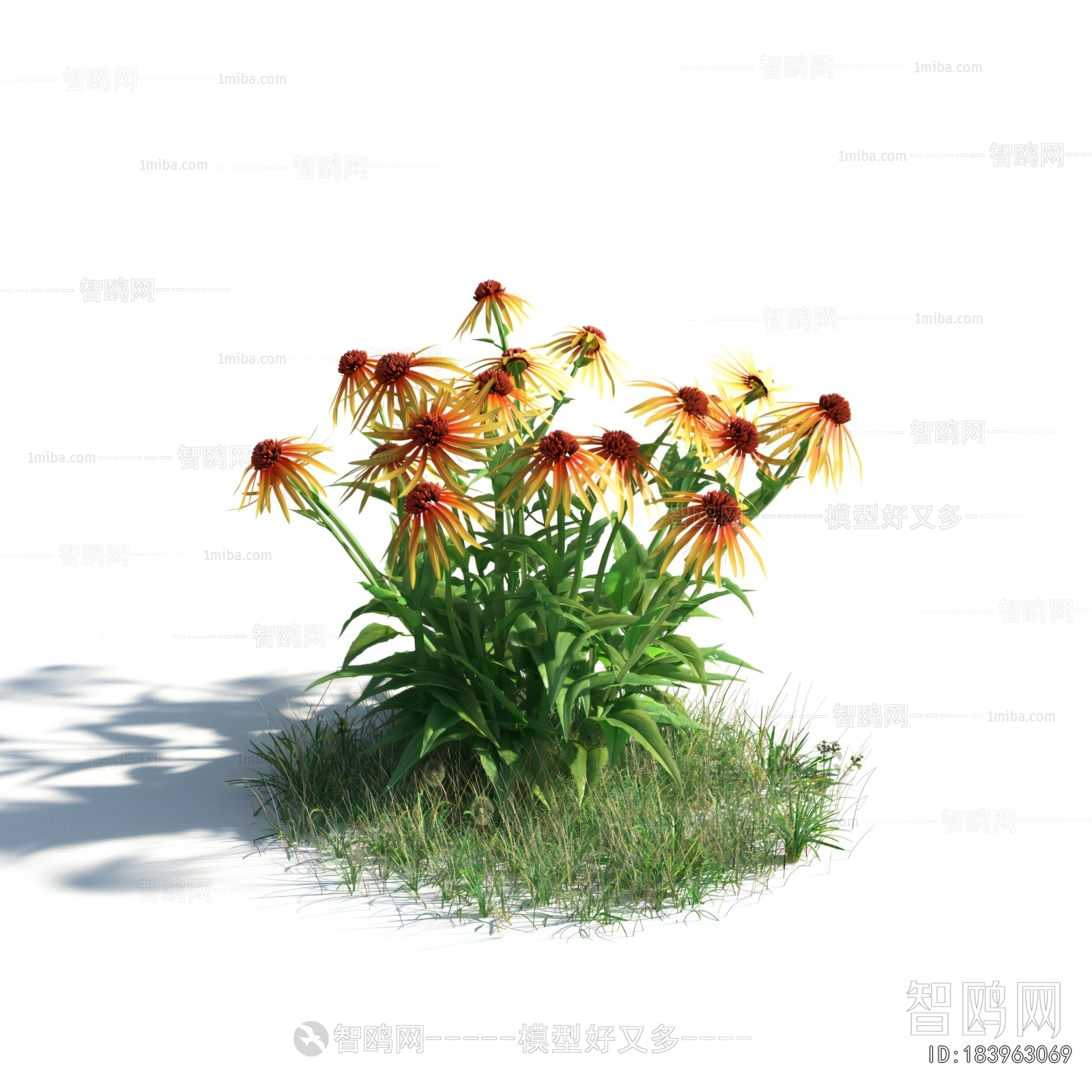 Modern Flowers And Grass