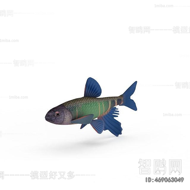 Modern Aquatic Animals