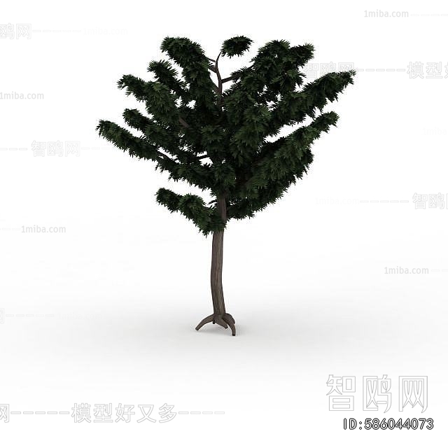Modern Tree