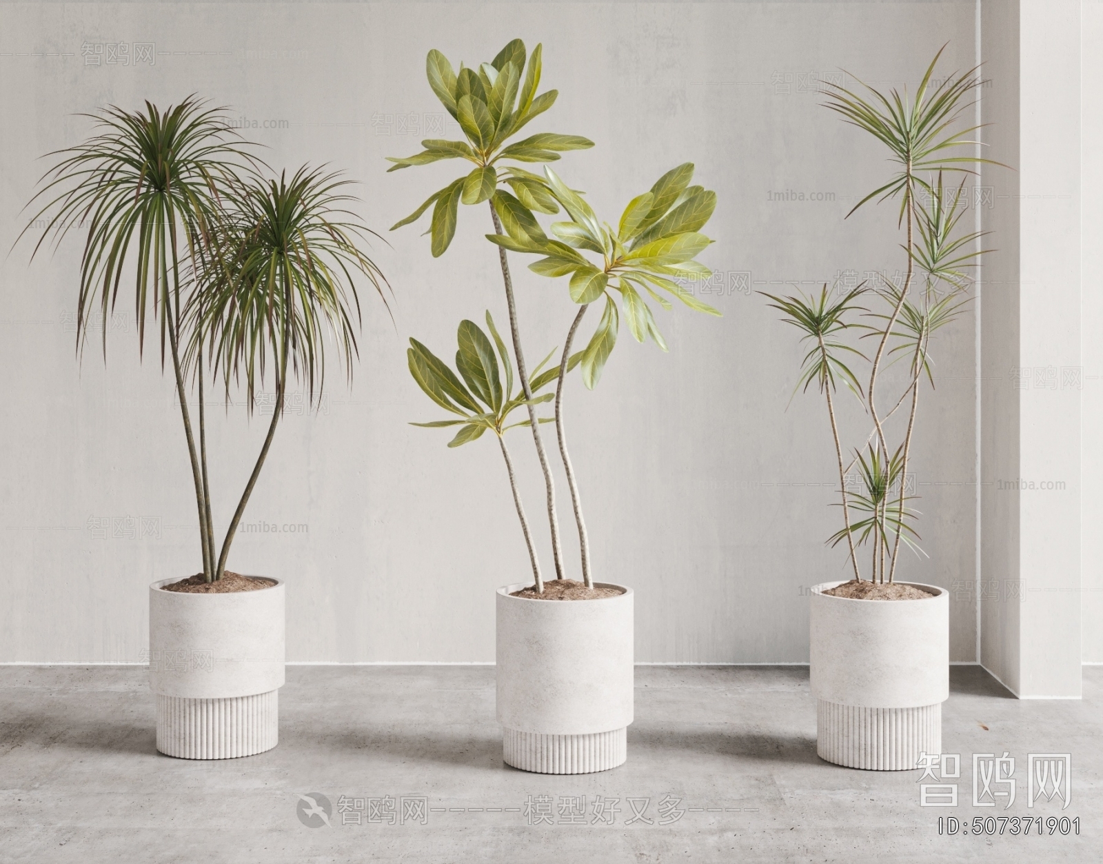 Modern Ground Green Plant Potted Plants