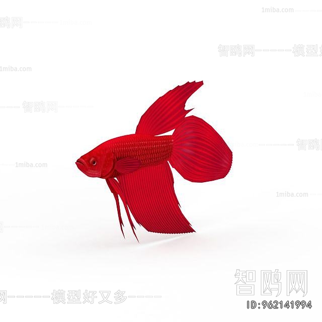 Modern Aquatic Animals