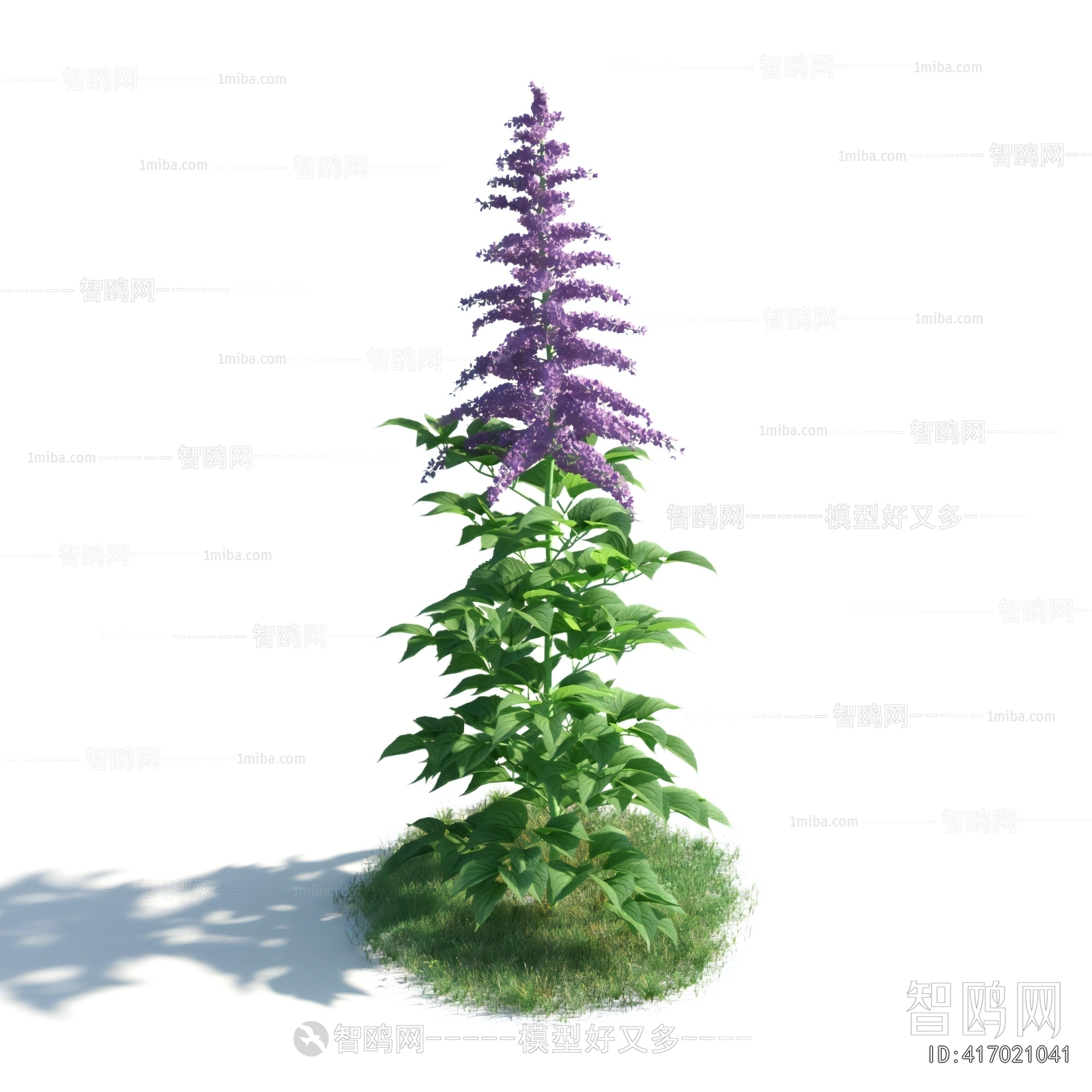 Modern Flowers And Grass