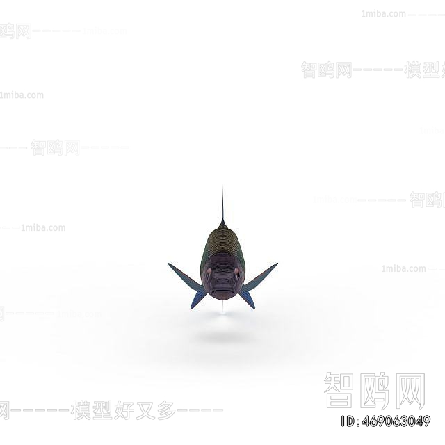 Modern Aquatic Animals