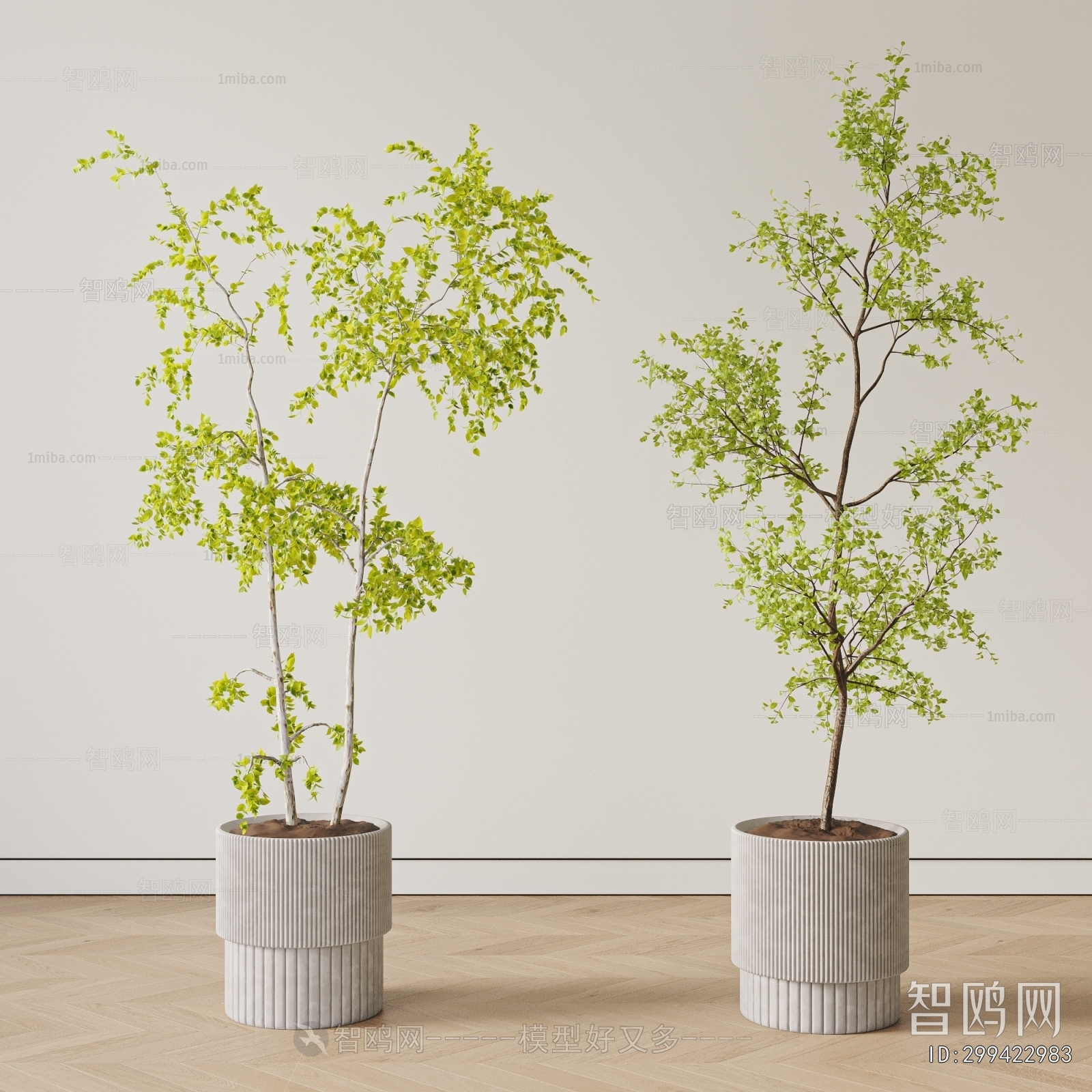 Modern Ground Green Plant Potted Plants