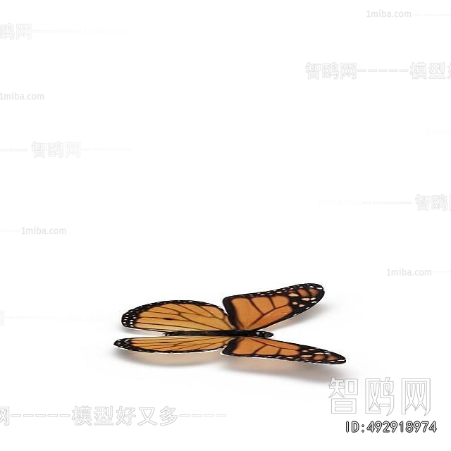 Modern Other Animals