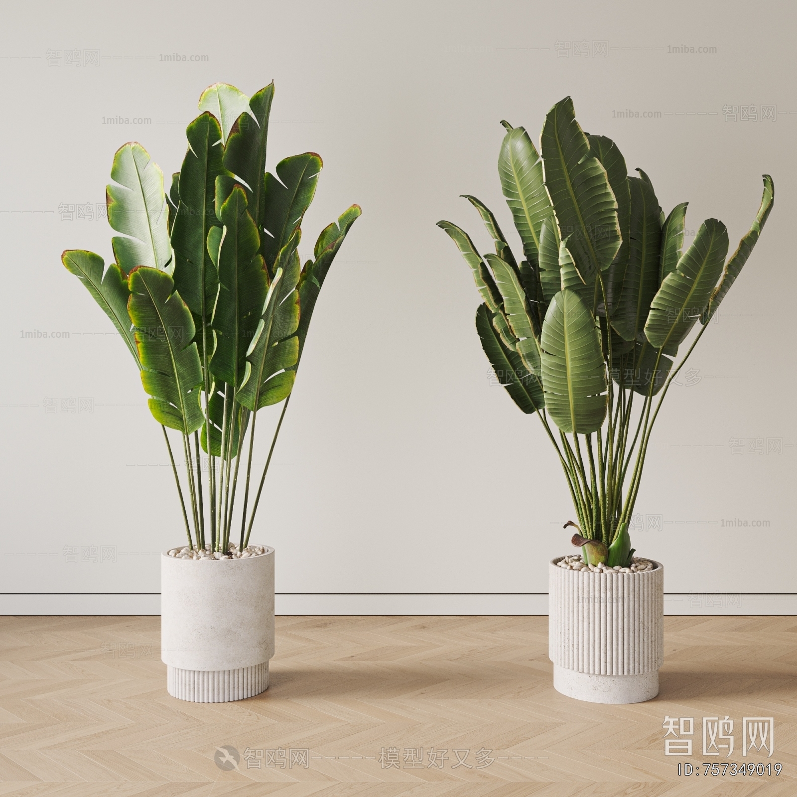 Modern Ground Green Plant Potted Plants