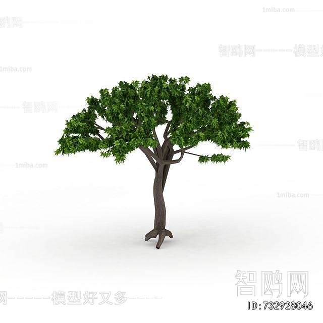 Modern Tree