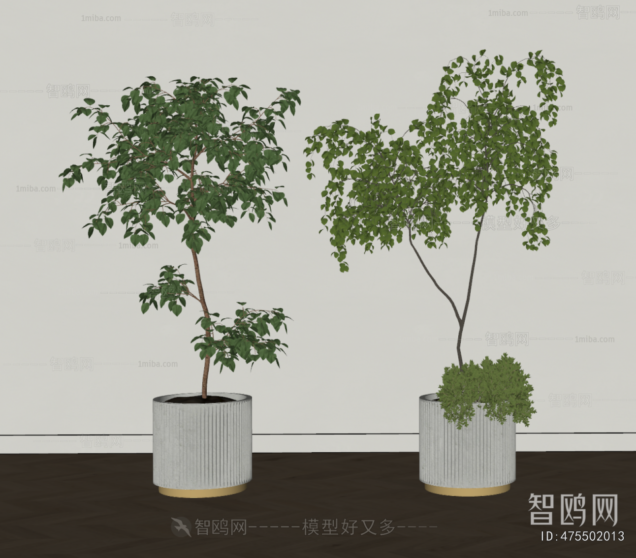 Modern Ground Green Plant Potted Plants