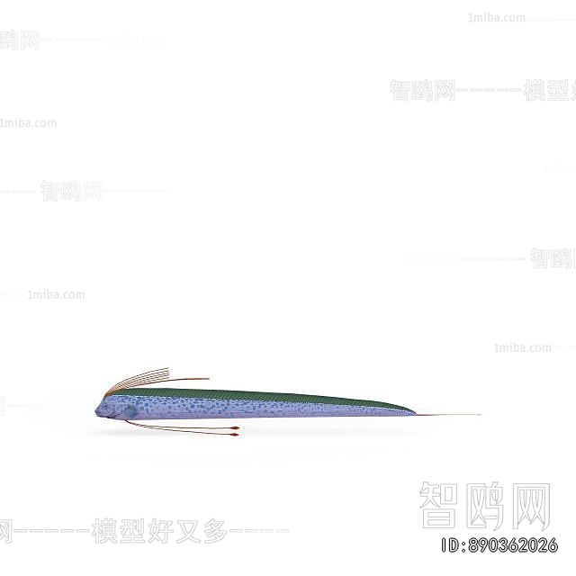 Modern Aquatic Animals