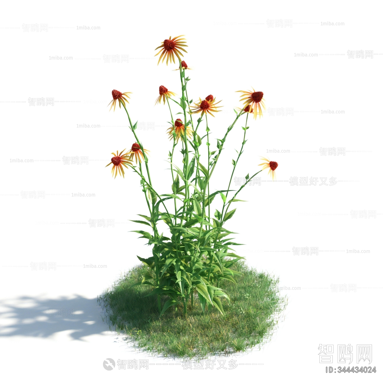 Modern Flowers And Grass
