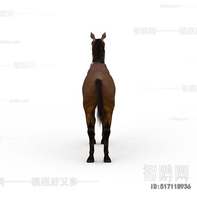 Modern Animal Horse