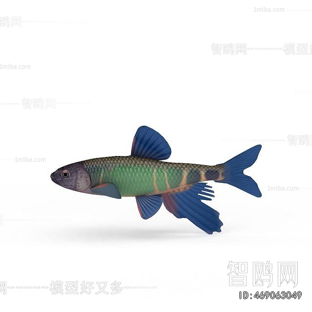 Modern Aquatic Animals