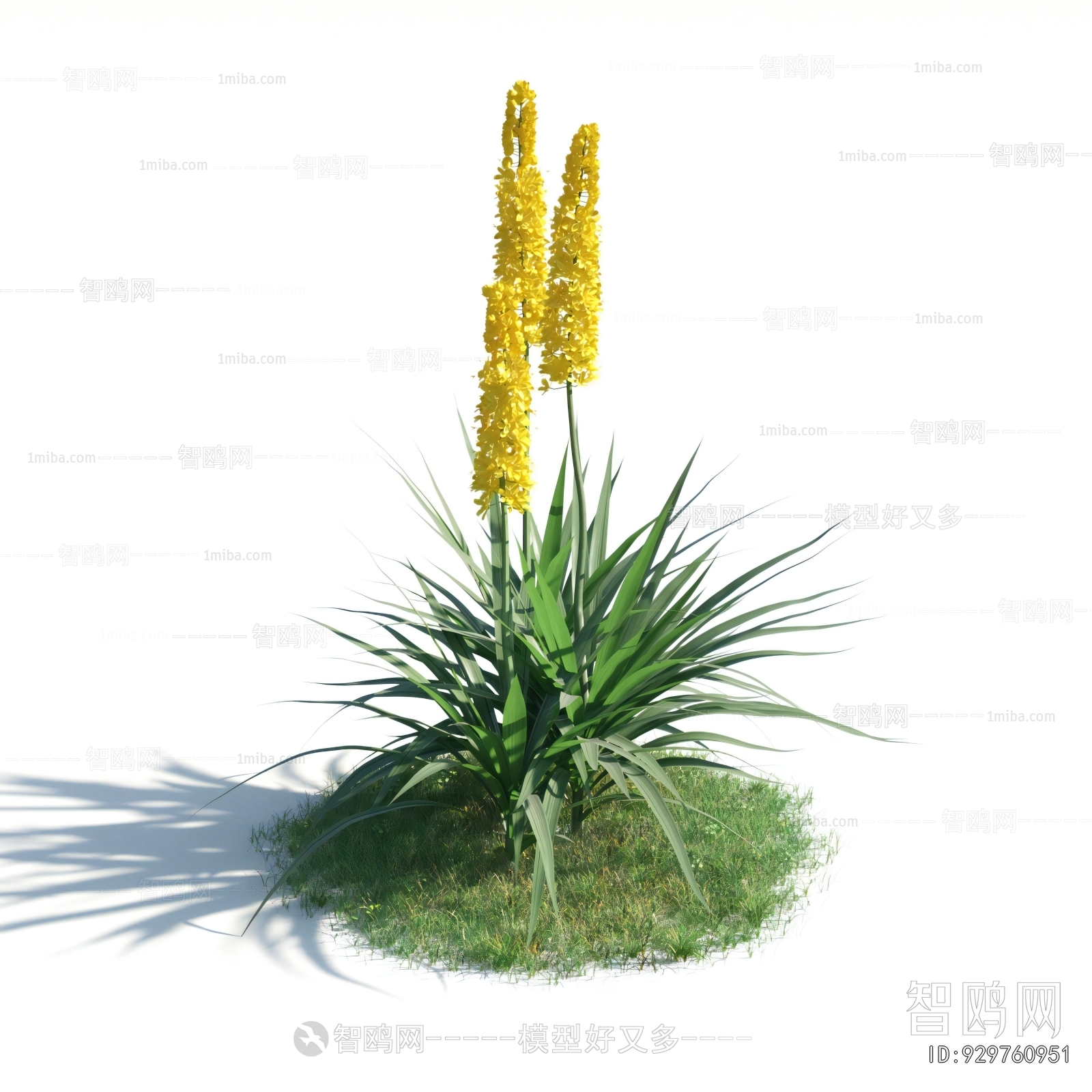 Modern Flowers And Grass