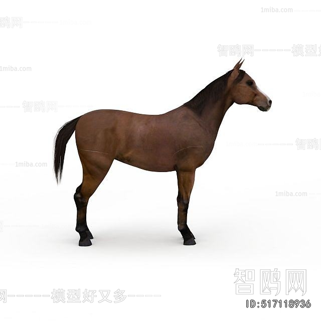 Modern Animal Horse